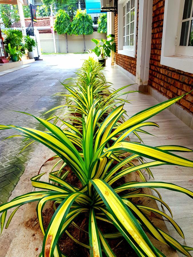 Oasis Beach Hotel เนกอมโบ ภายนอก รูปภาพ